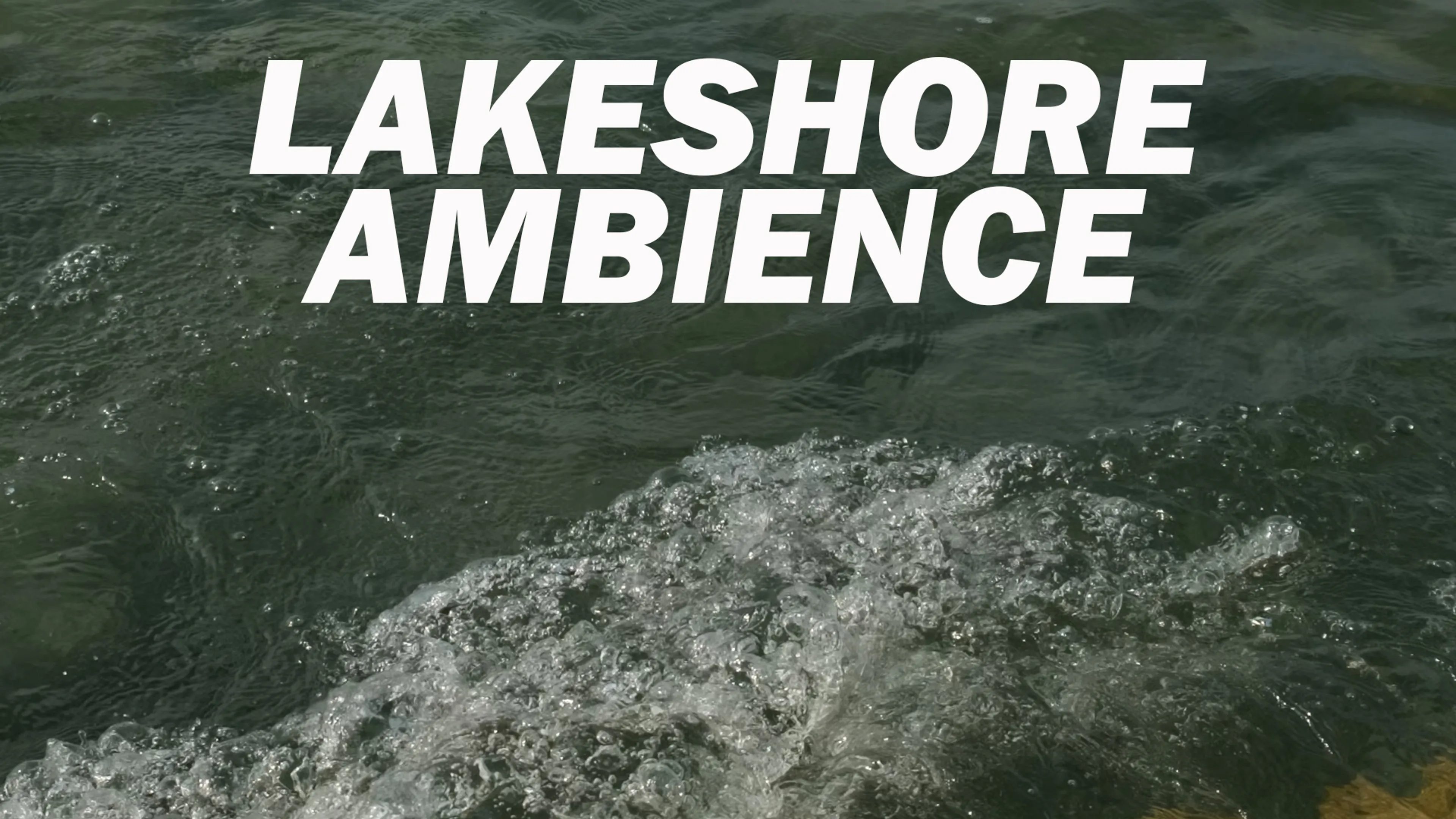 Lakeshore Ambience poster